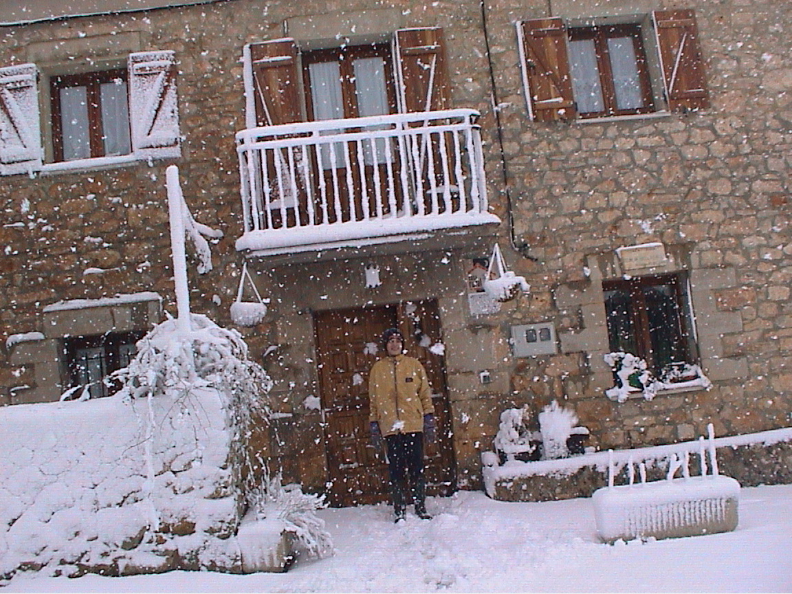 nevada del 18 de Enero de 2004